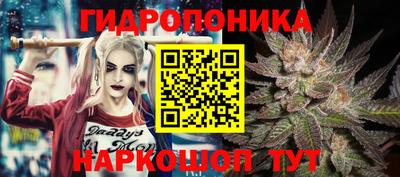 соль ск Краснодар