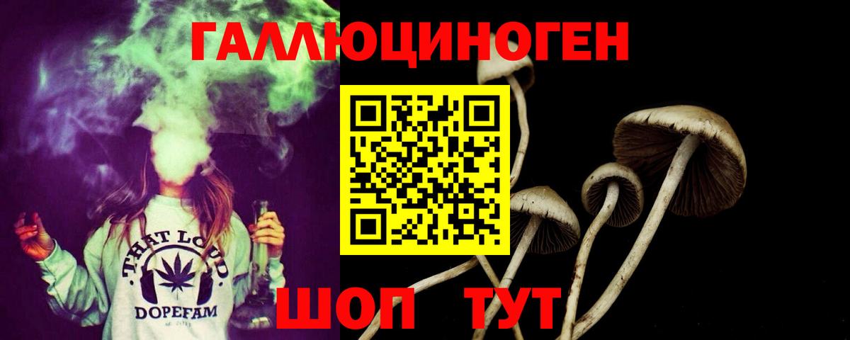 Псилоцибиновые грибы Cubensis Котлас